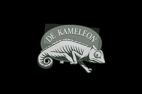 De Kameleon Heule